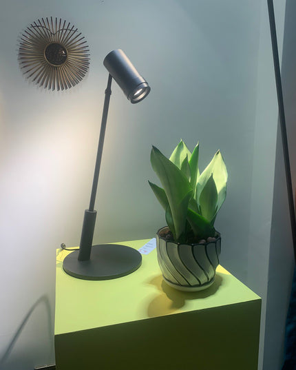 Table lamp CRISPY by Rodesigne