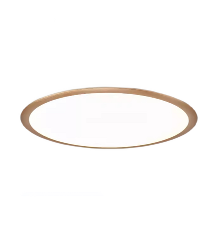 Collection image for: Ceiling Lamps